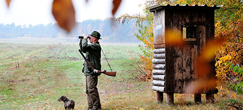 jäger, jagd, jagen, fernglas, gewehr, beobachten, forst, jagdausrüstung, jagderlebnis, jägerhut, jagdjacke, jagdsitz, jagdstuhl, pirsch, pirschen, rehwild, schiessen, wild, ansitz, auf ansitz gehen, forstbeamter, förster, jagdhund